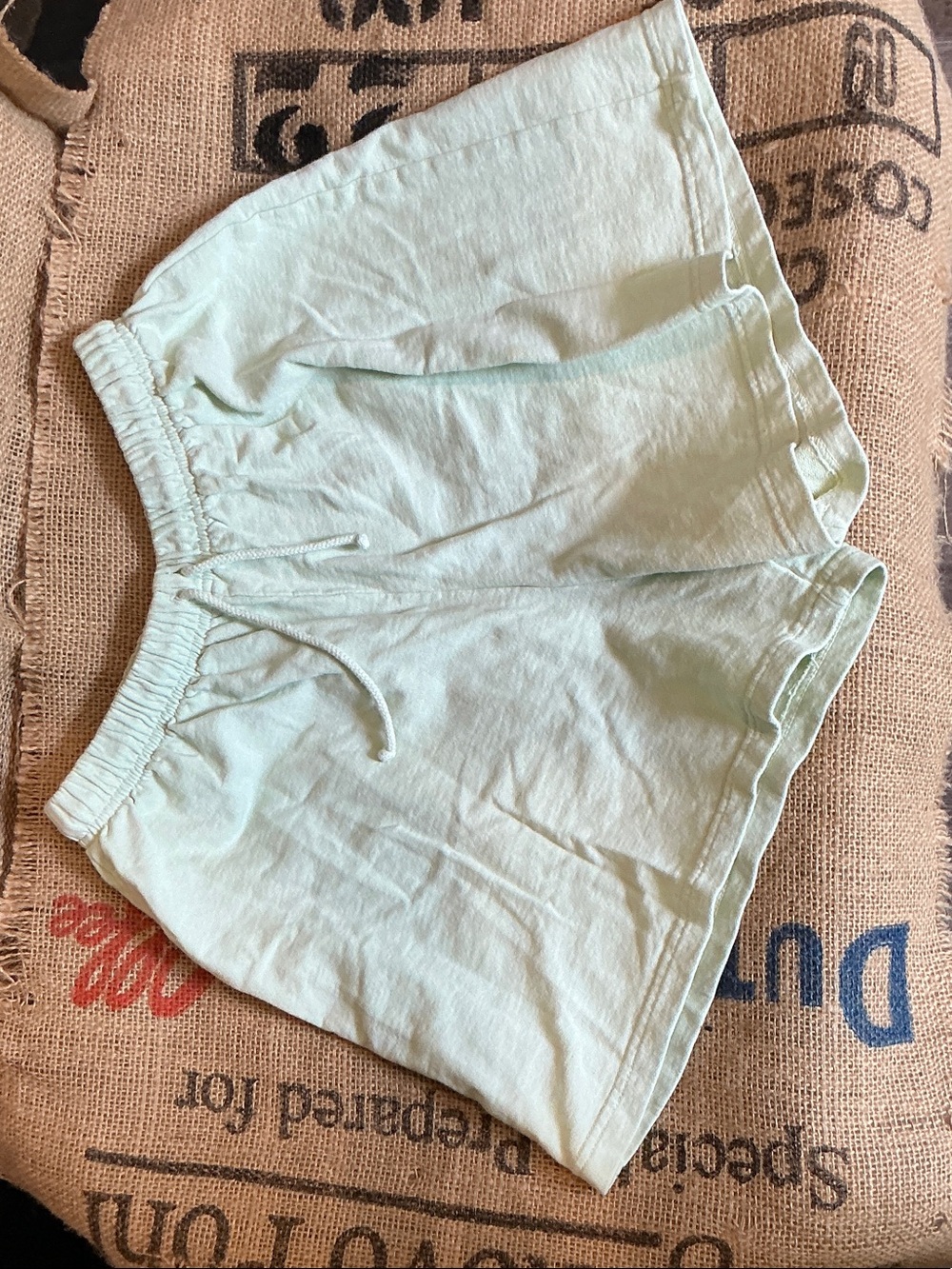 New York Laundry Light Mint Athletic Shorts with Drawstring Size Large